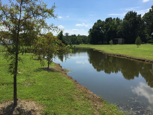 Photo - Mountain Valley Properties -Carterville