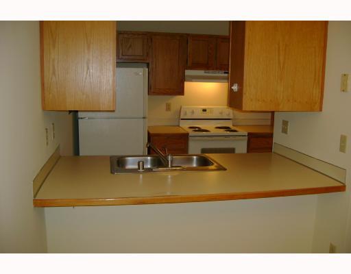 Kitchen - English Ivy