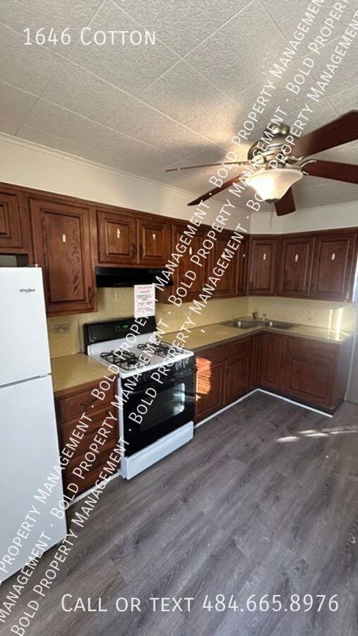 Photo - 1646 Cotton-