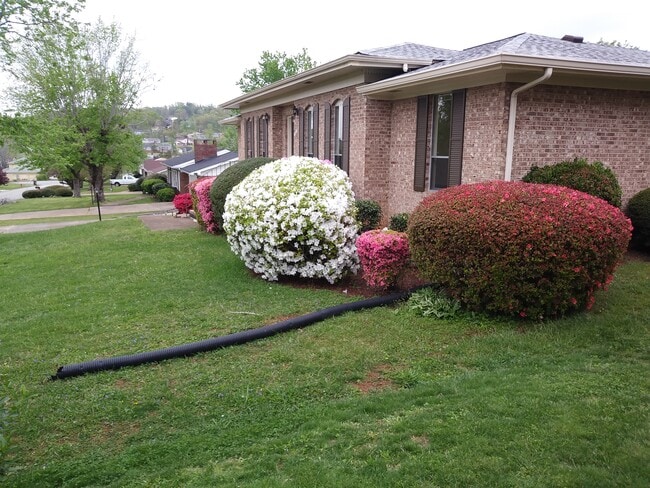 Photo - 2512 Sharron Dr