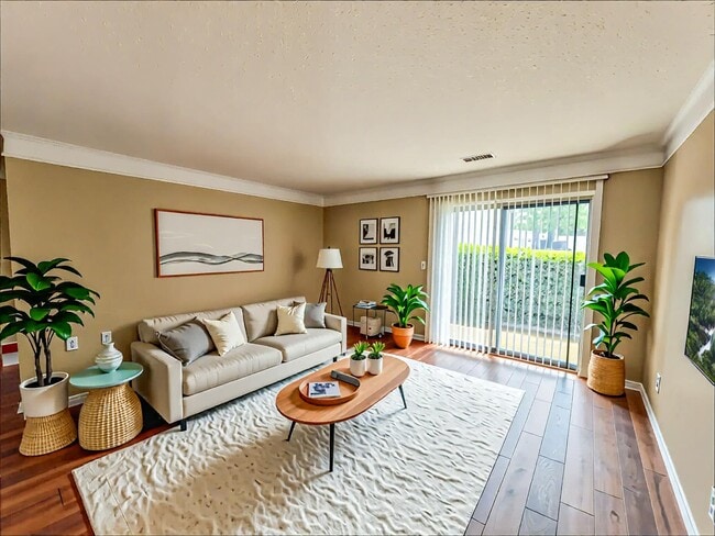 Photo - Elements of Chattanooga