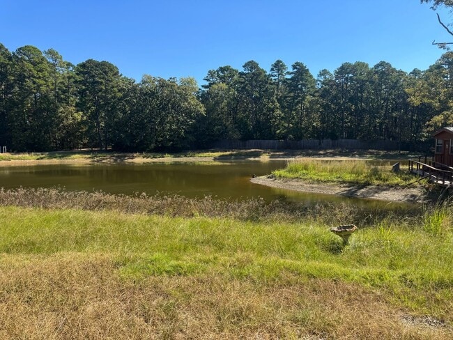 Photo - Getaway in the woods - Winnsboro