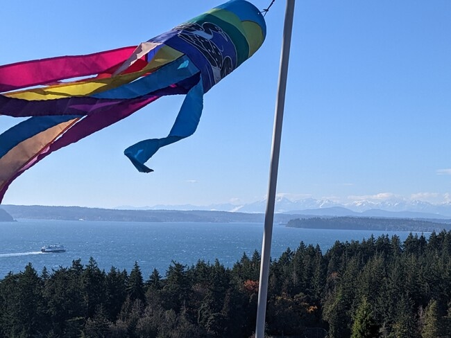 Gran cielo, Montañas Olímpicas cubiertas de nieve, Puget Sound, ferry, Lincoln Park y un viento fresco. - 8261 Northrop Plz SW Unidad B