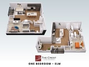 Elm (Combined) 3D Floor Plans