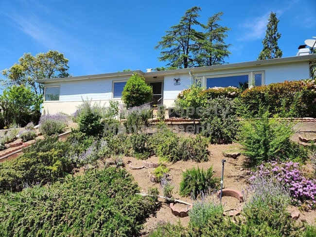 Photo - Charming 3 Bed, 2 Bath, 1,888 sqft House in Downtown Concord - Available 3/14 for lease!