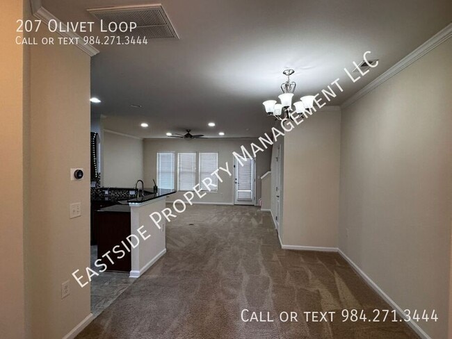 Photo - 207 Olivet Loop