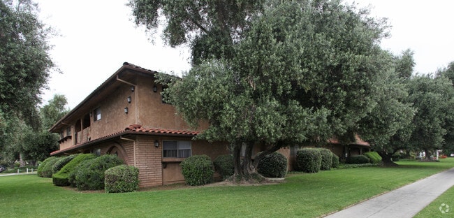 Live Oak Plaza - Live Oak Plaza