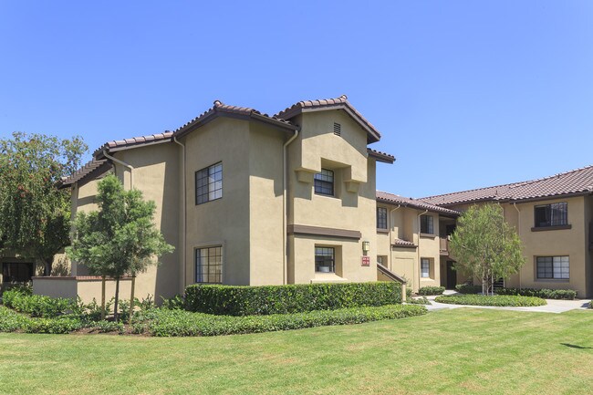 Rancho Alisal Apartment Homes