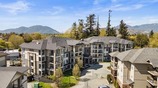 Bright & Spacious Open-Concept 1 Bed + Den Condo in Sardis — 2 Parking, In-Suite Laundry, Great L... - Bright & Spacious Open-Concept 1 Bed + Den Condo in Sardis — 2 Parking, In-Suite Laundry, Great L... Unit 103