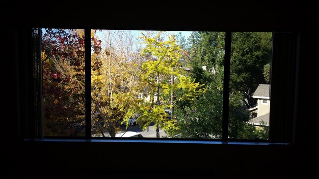 Photo - 725 Mariposa Ave. Unit 202