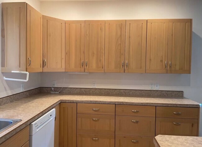 Photo - Bauer Rentals - 245 N. DAVIS ST