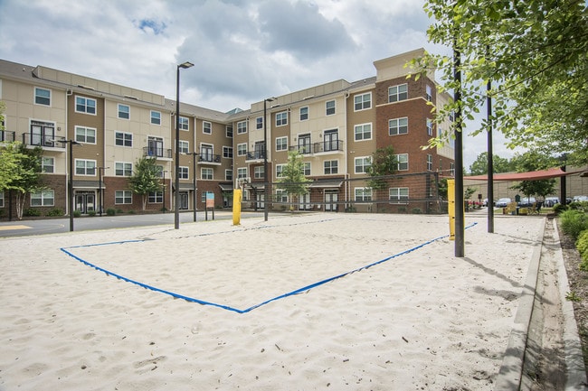 Volleyball court