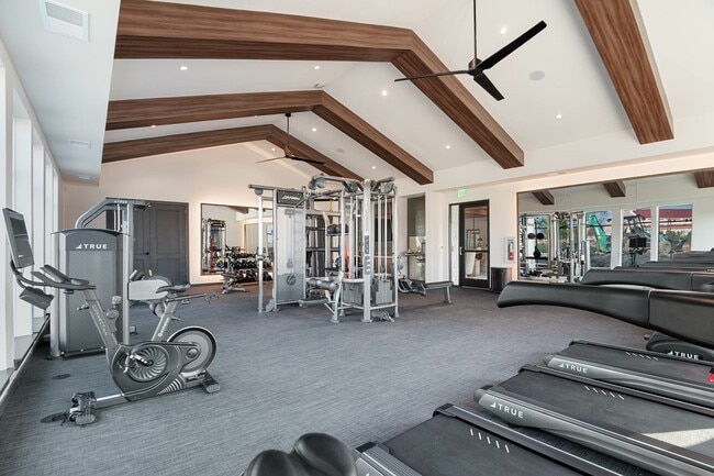 The Darby - The Darby