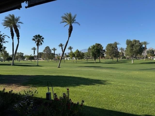 Photo - 42419 Adams St Unit 204