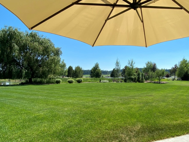 Photo - 3071 River Lakes Dr