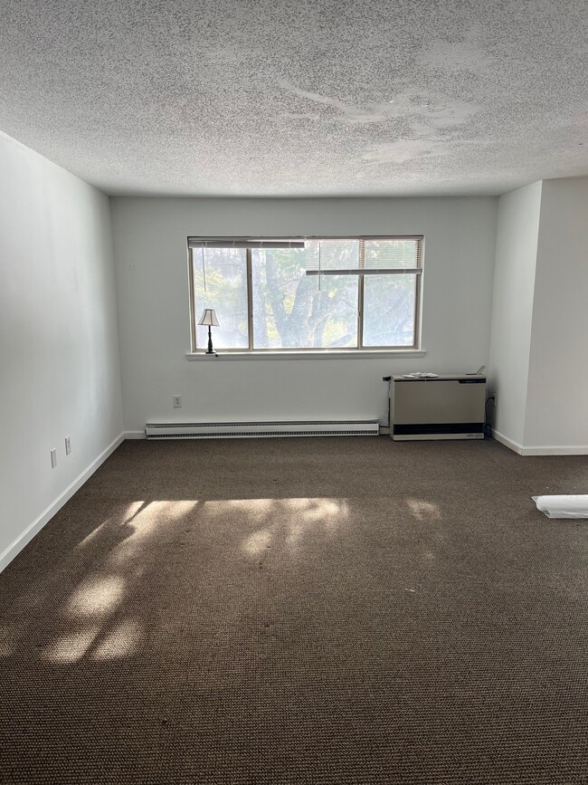 Large Living Room - 234 Quarry Hill Rd Unit 63