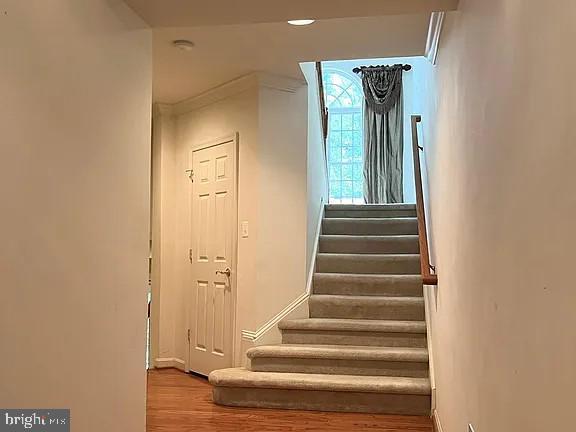 Photo - 14368 Verde Pl