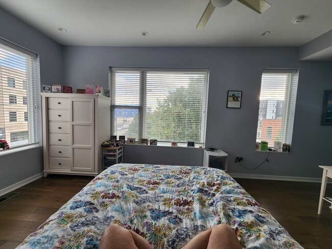 Tons of natural light - 1500 N American St Unit A