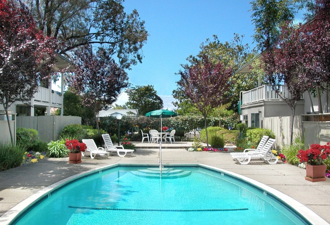 Baywood Apartments