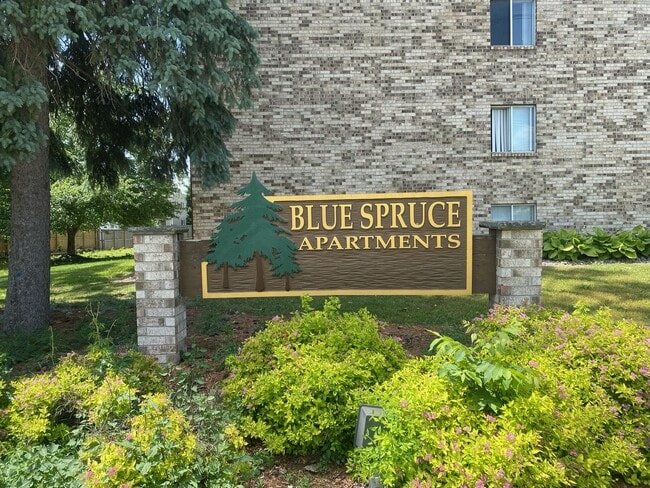 Blue Spruce Apartments - Blue Spruce Apartments