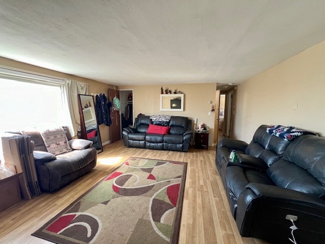 Living Room - 130 Baisley Ave Unit 2nd Floor