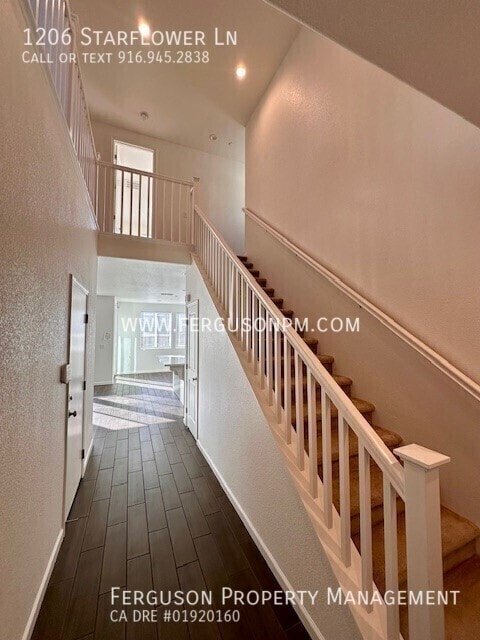 Photo - 1206 Starflower Ln