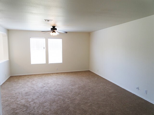 Photo - 142 Blue Juniper