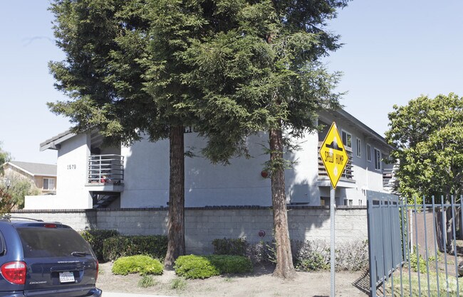 Photo - Julius Manor