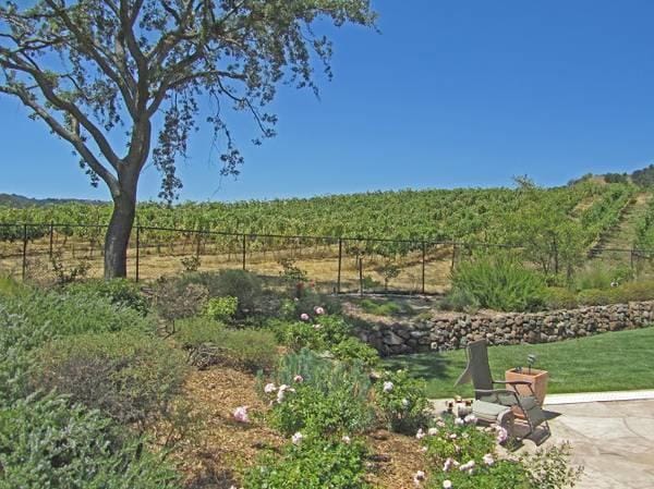 Photo - 22501 Mt Eden Rd