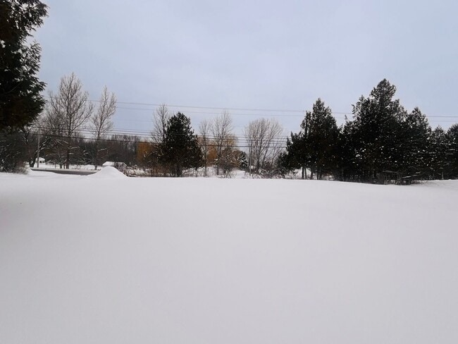 Photo - Charming Log Cabin Rental – 3 Bedroom / 2 Bath | Carthage School District