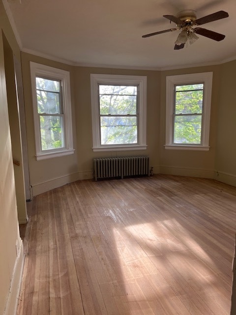 Living room - 17 Homestead Rd