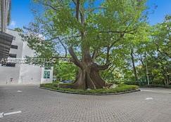 Photo - 1861 NW S River Dr Unit 2310