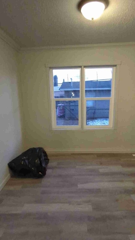 Photo - 1244 Rio Grande Ave
