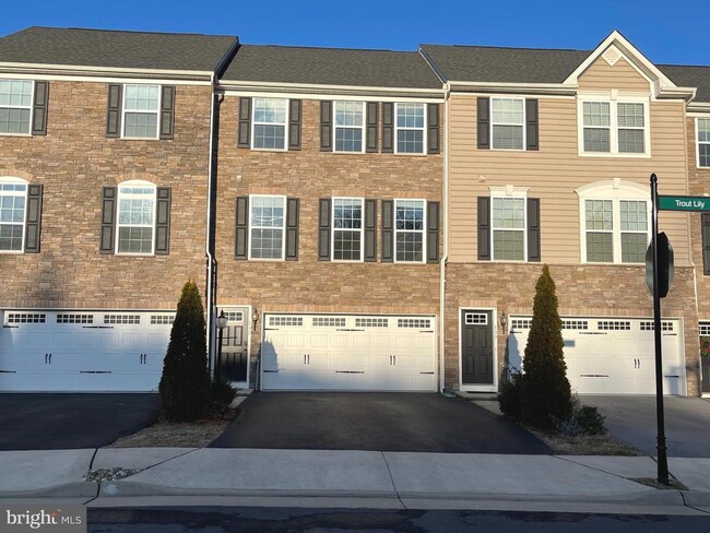 Photo - 135 Trout Lily Dr Townhome