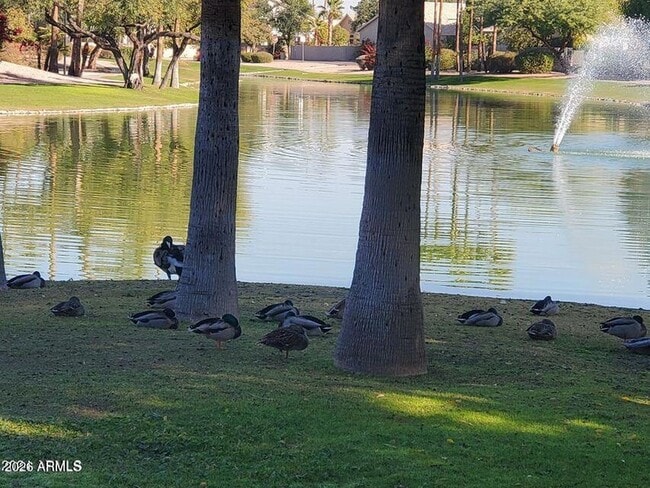 Photo - 1848 E Chilton Dr