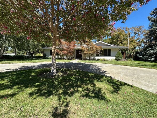 Building Photo - 5 Bed 3 Bath In Alamo W/ Pool Rental