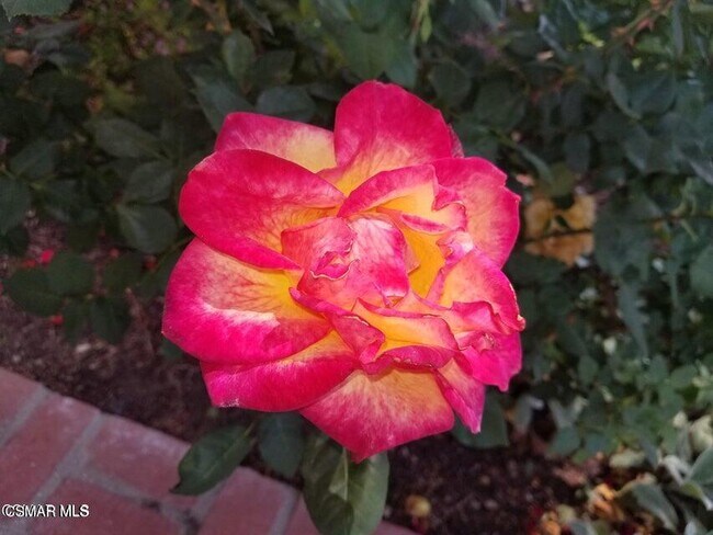 Photo - 3287 W Sierra Dr