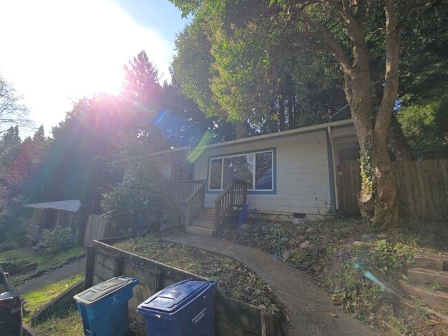 Photo - 3BD Sunny Brae home nestled in the Redwoods!
