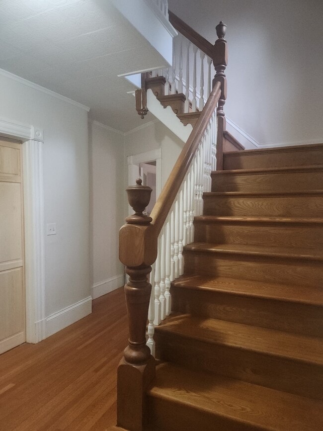 34 Laurel St