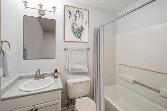 Carlson Bay Luxury Apartments