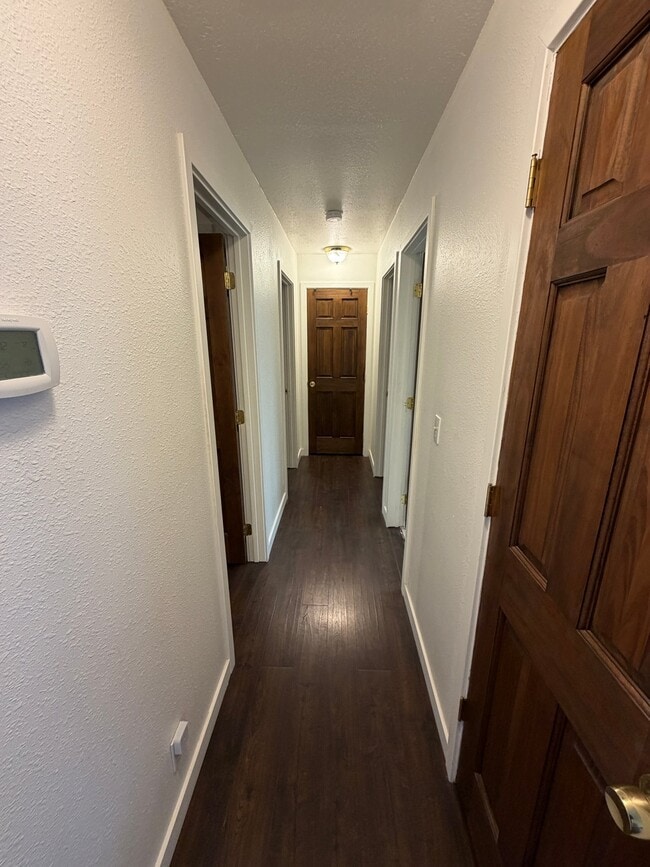 Photo - 127 Goodall St