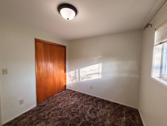 Photo - pzprop01 Unit 1178