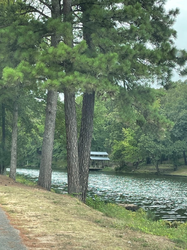 Photo - 3737 Lakeshore Dr