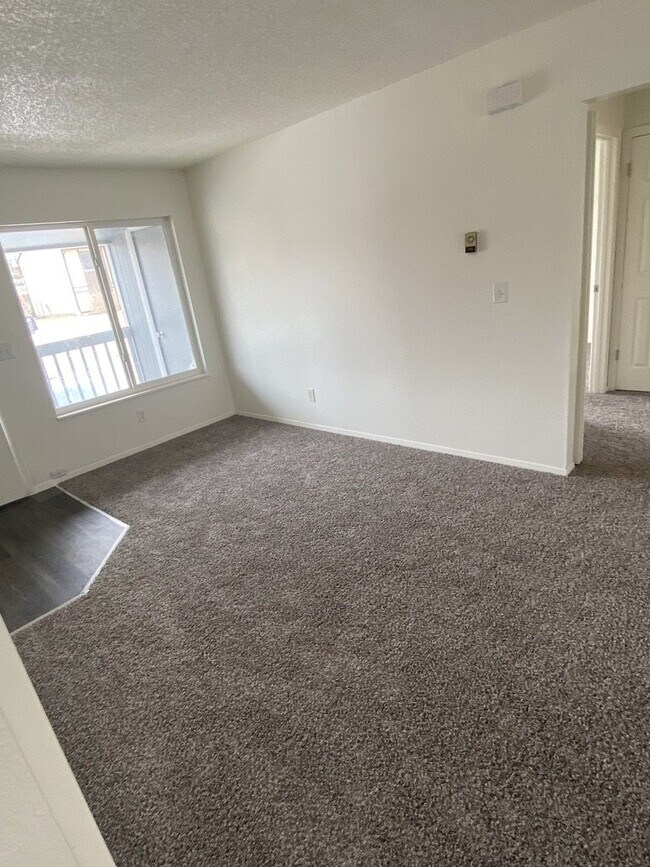 Newly renovated 2 bed/1 bath with views!