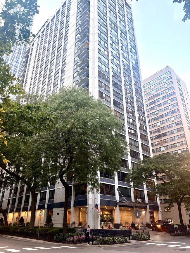 Building Photo - 222 E Pearson St Unit 1005