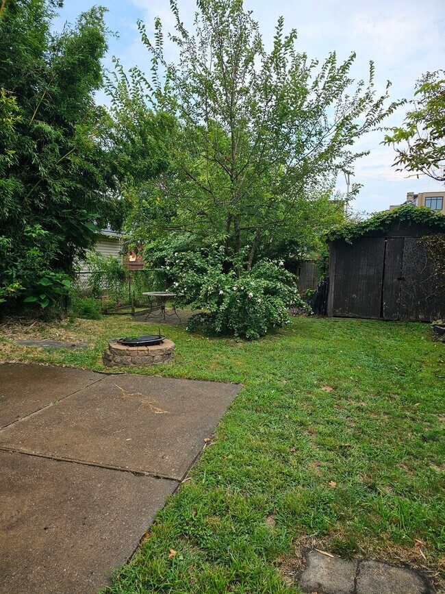 Photo - Spacious 2 Bedroom in Tremont!!! Unit Down