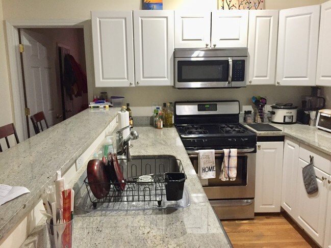 Photo - 49 Egmont St