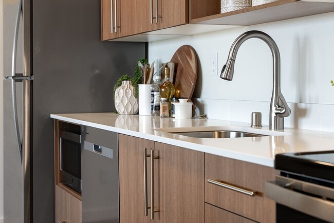 Sink and Appliances - Magnesium Village