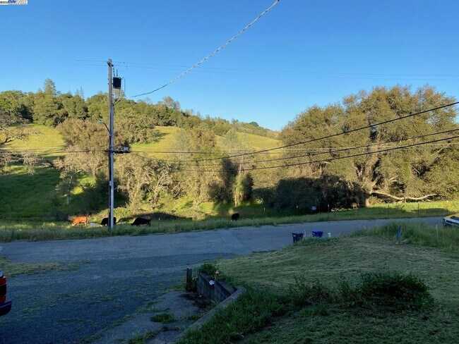 Photo - 17 Raggio Rd