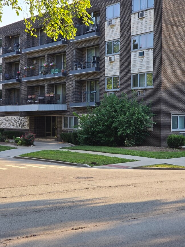 Building Photo - 401 S Grove Ave Unit 1A Rental